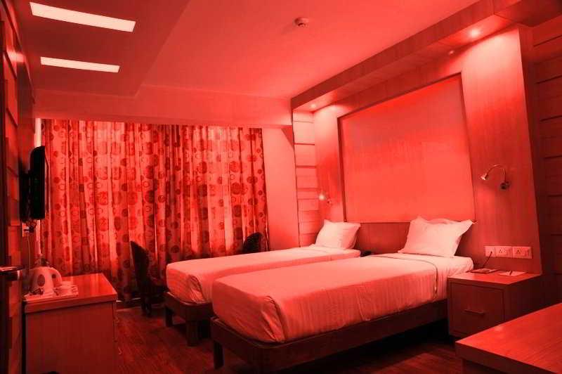 Hotel Emarald, New Delhi Ruang foto